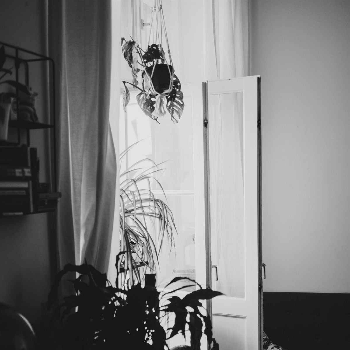 An open doorway with plants